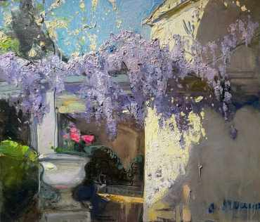 Глициния цветёт Шипилин Игорь