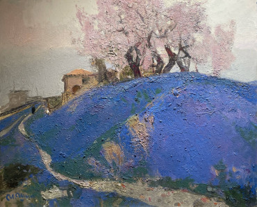 Абрикос цветёт. Синий апрель Шипилин Игорь